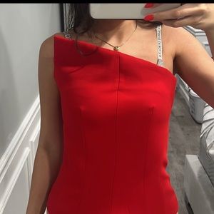 Brand new ZARA corset top